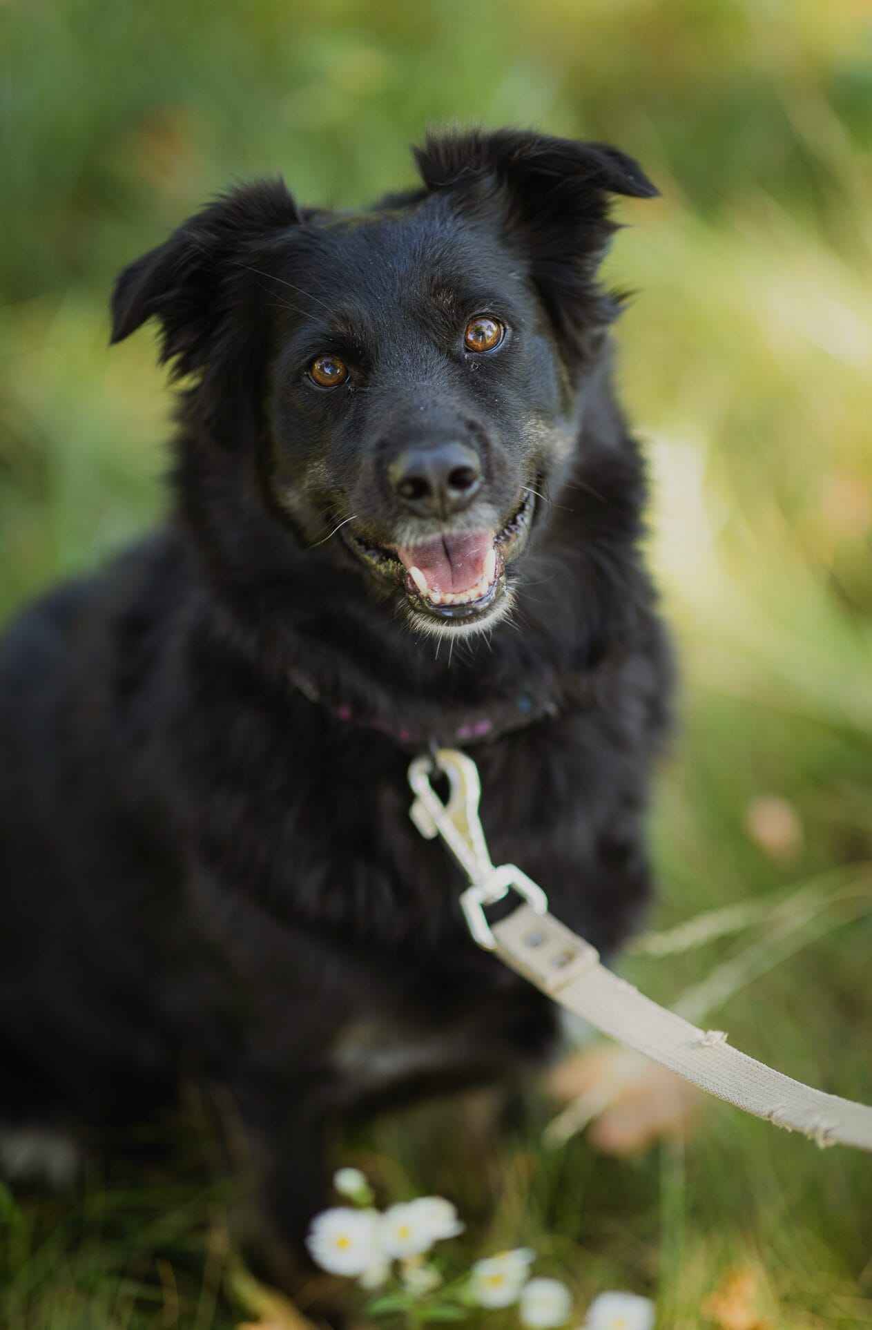 suniukai prieglauda geras-99