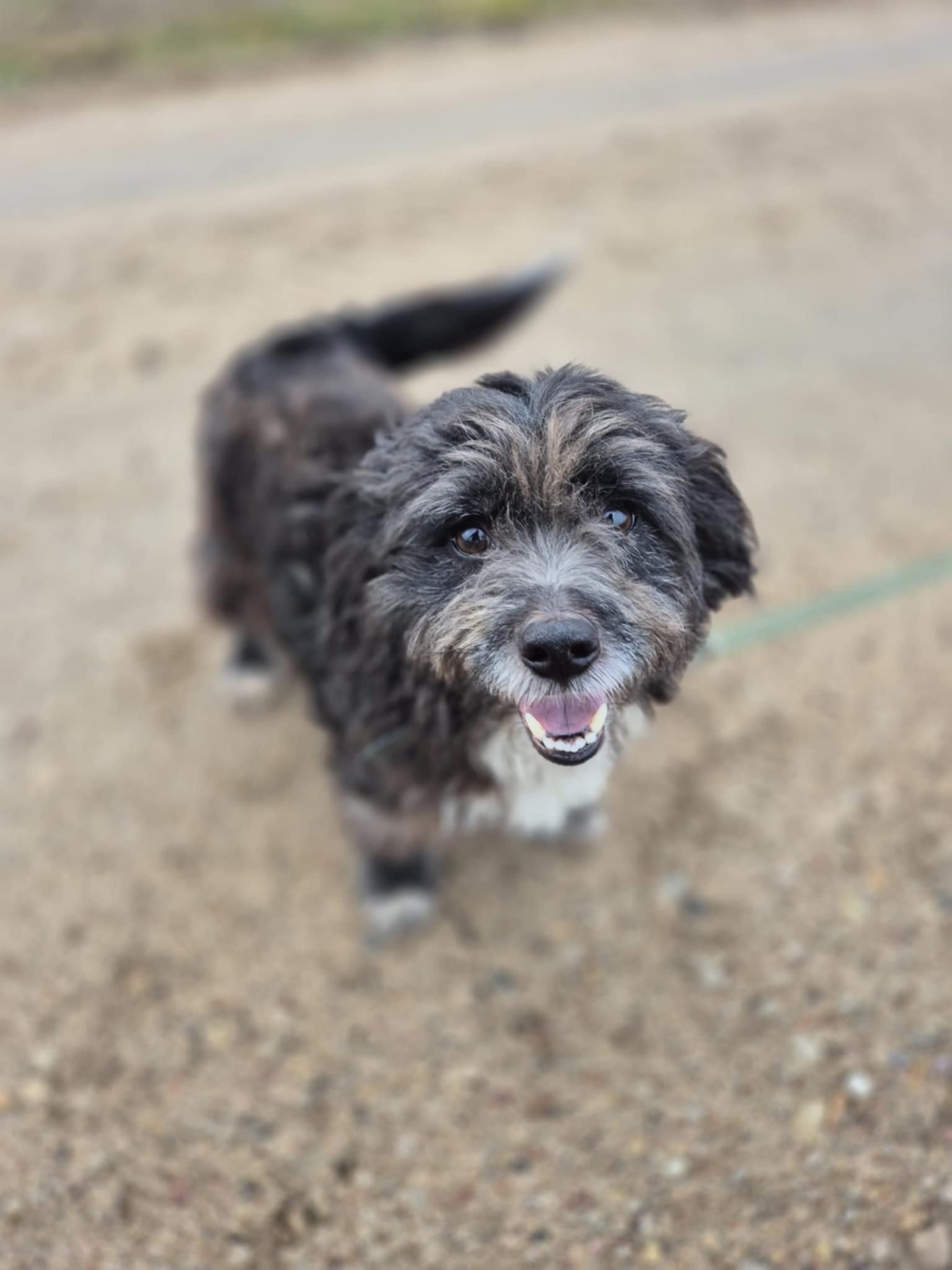 c1323060-2409-4ced-b645-051e8896ab1a