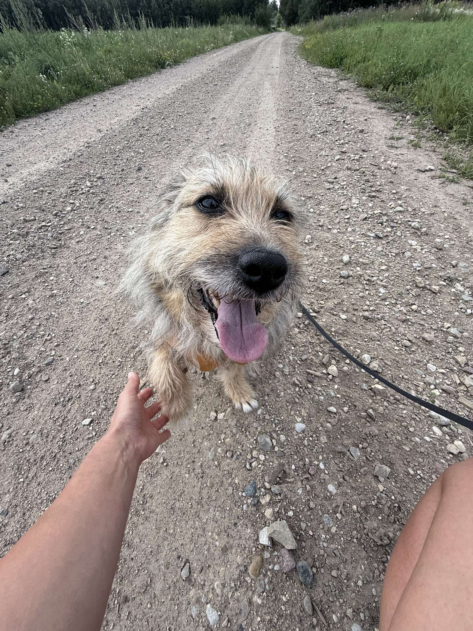 523865859_4116134018662059_9060881832341181347_n