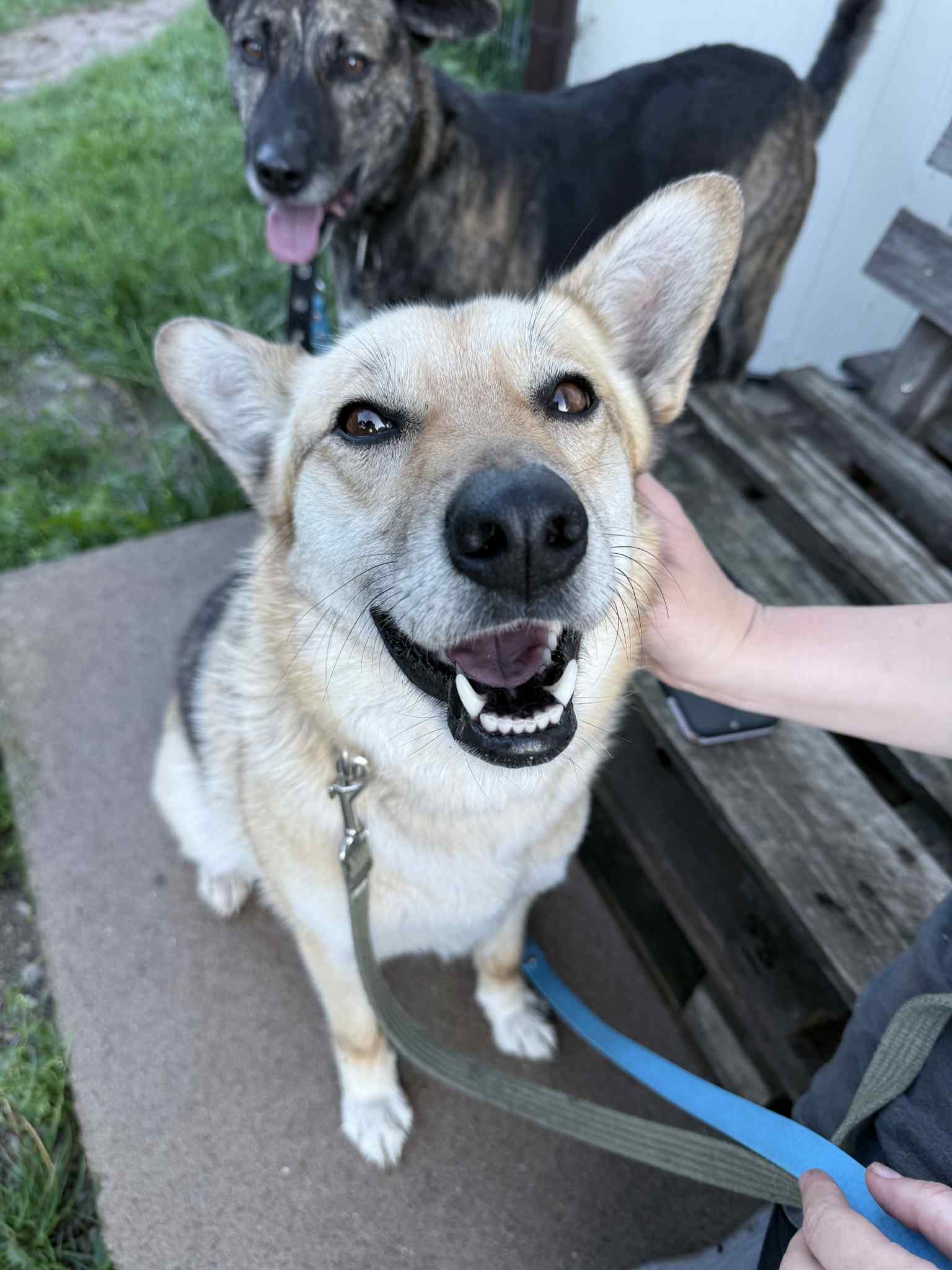 b0b448f4-388b-4e9f-9e6e-29673ece01b6